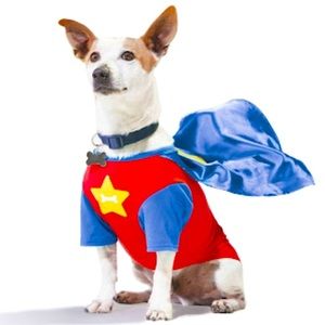 Super Hero Dog Costume M